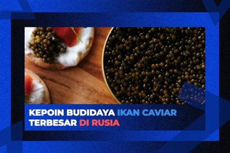 Pembibitan atau Penyemaian: Budidaya Ikan Caviar